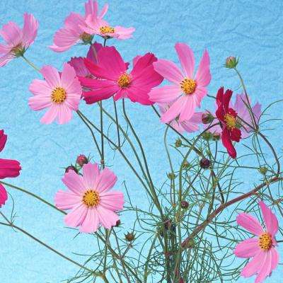 开元ky888棋牌开元登录